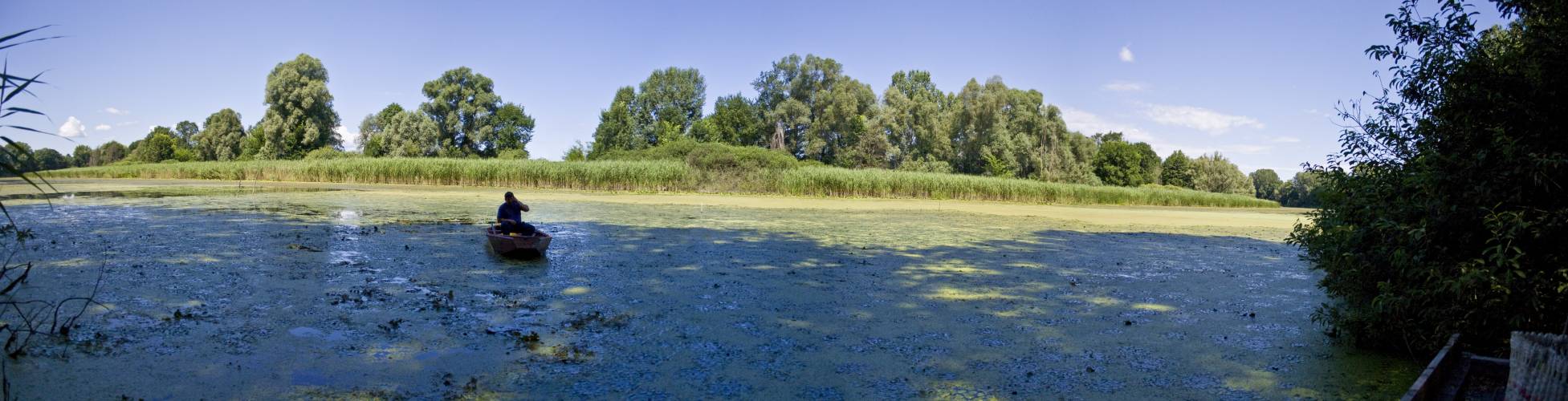 Ünnep Magyarországon. Barcs és Balaton 01-10. Július 2008