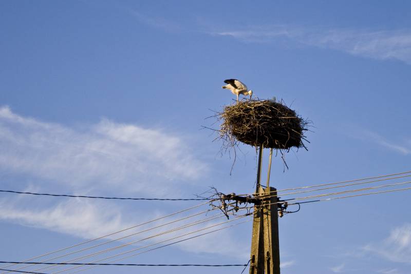 Ünnep Magyarországon. Barcs és Balaton 01-10. Július 2008