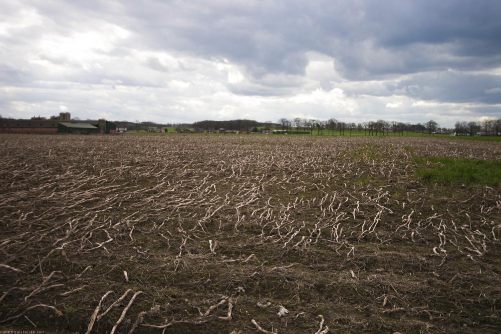 ﻿Benelux biciklitúra. A hideg, a szél és az eső ellenére. Húsvét 2010