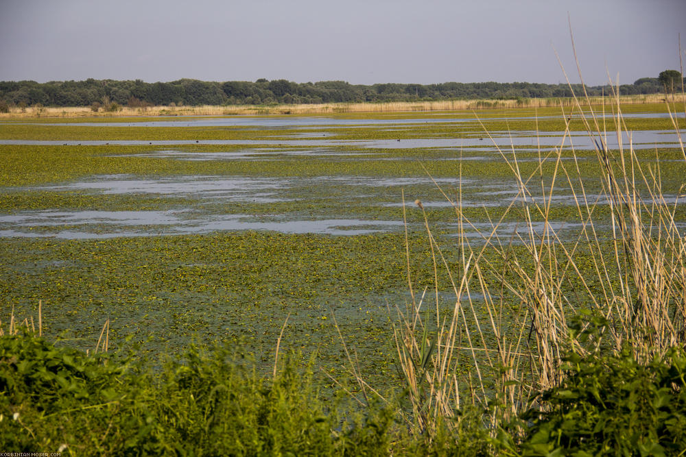 Magyarország. Nyár 2012.