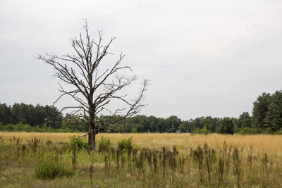 Magyarország. Nyár 2012.