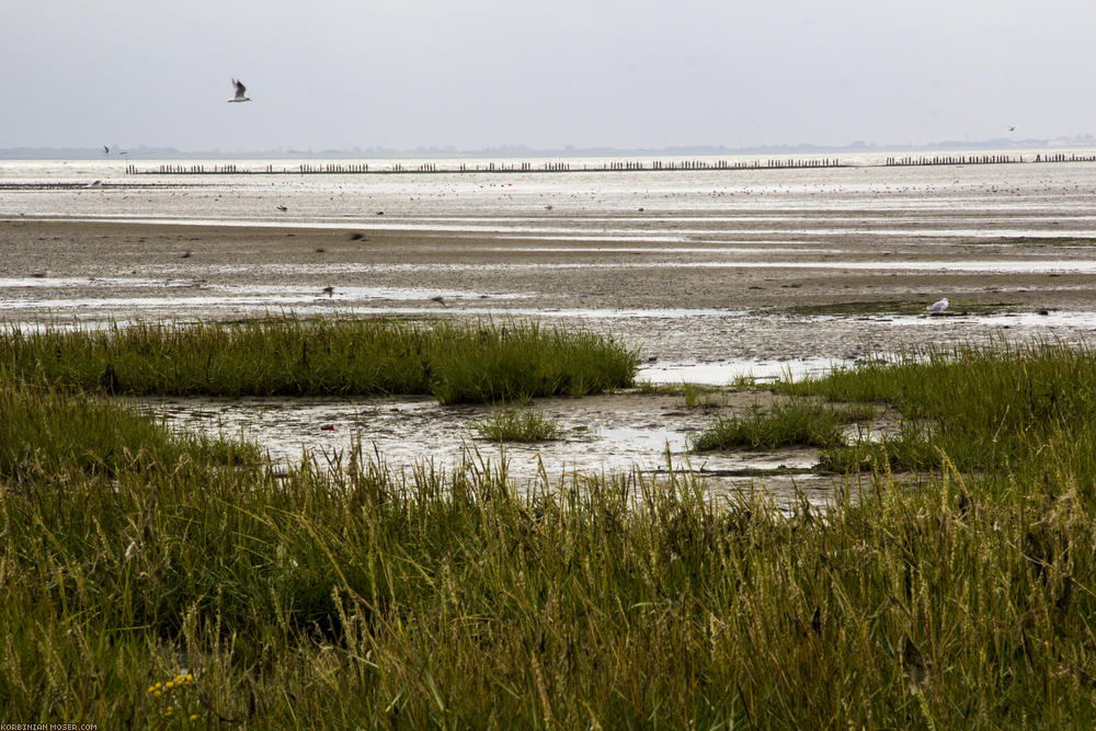 Norderney. Az első 