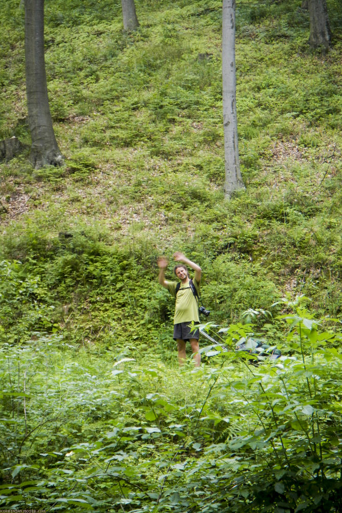 Világ örökség tanösvény. Wachau-túra-2013 július