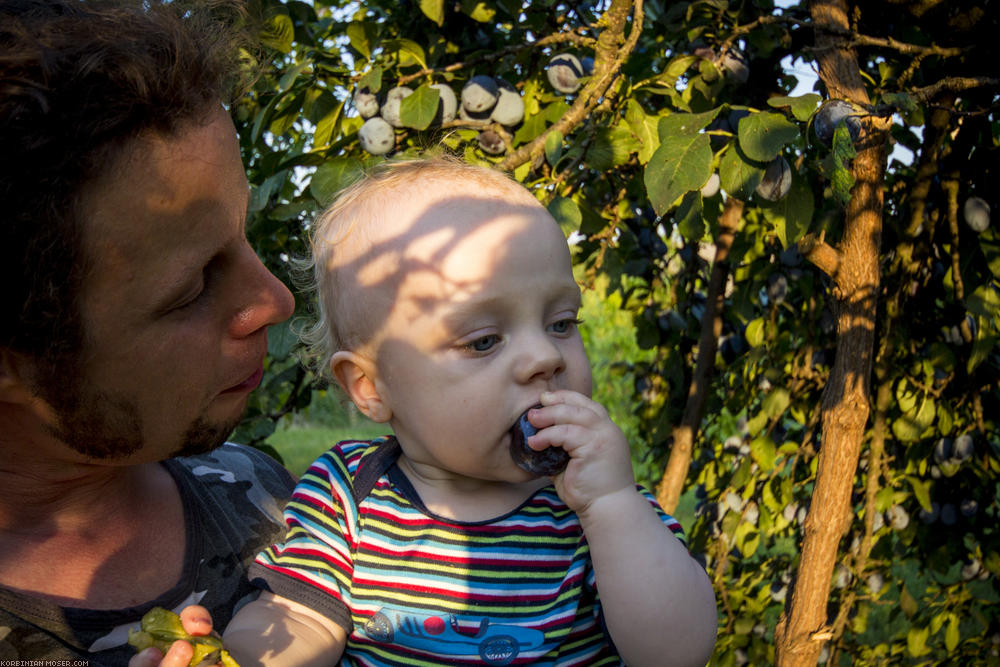 Világ örökség tanösvény. Wachau-túra-2013 július