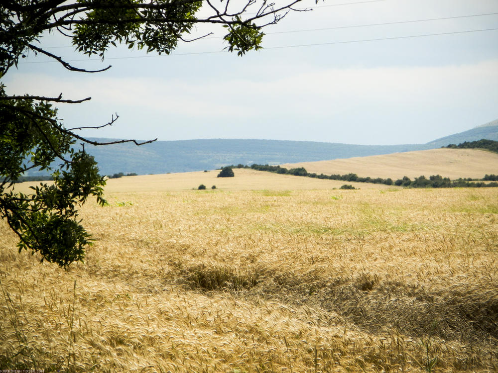 Wild Wild East. Balkán túra június 2014-ben.